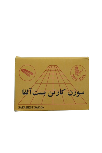 سوزن کارتن