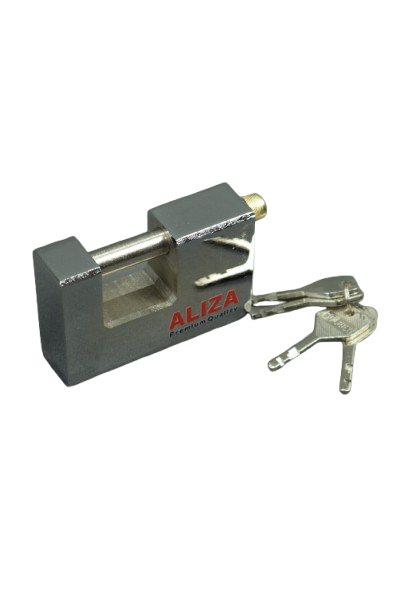 کتابی 100 الیزا